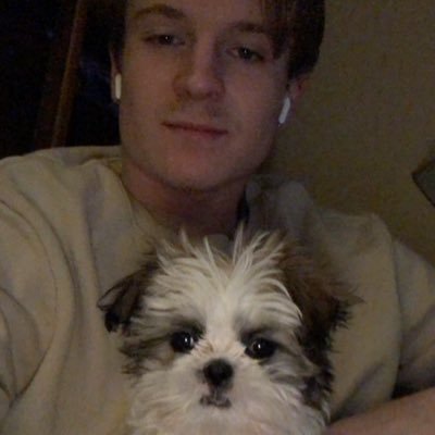 Profile Picture of Matthew (@MattScrape) on Twitter