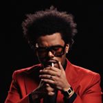 Profile Picture of Daniel Bonomo (@daniel.b0n0m0) on Instagram