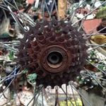 Profile Picture of Megan Jamison (@meganjamison80) on Instagram