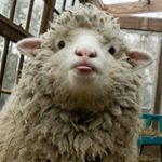 Profile Picture of 欧阳徐徐 (@may_cjm0616) on Instagram