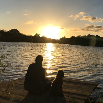 Profile Picture of Dave Rudden (@DavidRudden) on Twitter