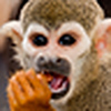 Profile Picture of Mark K (@Mark.Krone) on Flickr