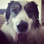 Profile Picture of Lena Patterson (@@rater1202) on Tiktok