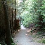 Profile Picture of Michael Paylor (@vladthempaylor) on Instagram