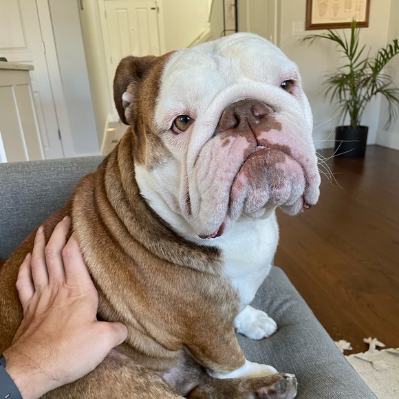 Profile Picture of Jason Vessey (@eljayvess) on Poshmark