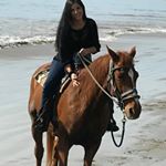 Profile Picture of Kelli Angel (@kelliangelwings) on Instagram