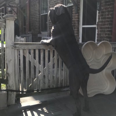 Profile Picture of Jeremy B Sites (@jeremybsites1) on Twitter