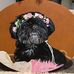 Profile Picture of Marilyn Clinkingbeard (@Marilyn-Clinkingbeard) on Facebook