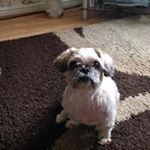 Profile Picture of June Davies (@davies7777) on Instagram