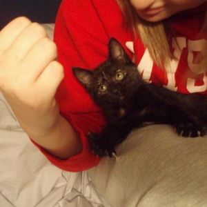 Profile Picture of Kitty Music (@kittymusic1) on Myspace