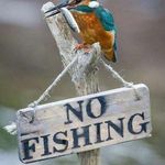 Profile Picture of Dave Annabel (@add_up_anna) on Instagram