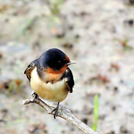 Profile Picture of Agbarker (@agbarker) on Flickr