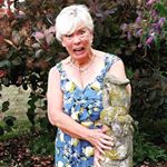 Profile Picture of Janet Stewart (@janetbookseller) on Instagram