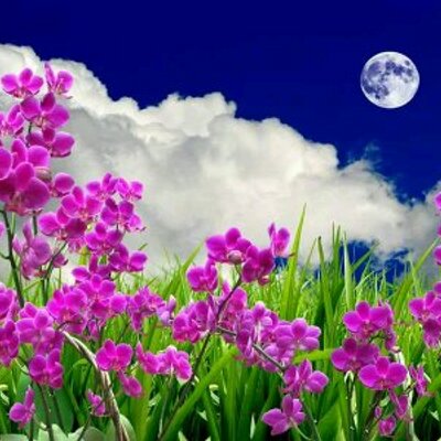 Profile Picture of Muna Thapa (@121munathapa) on Twitter