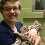 Profile Picture of Meghan Riddle (@mwalrus) on Instagram