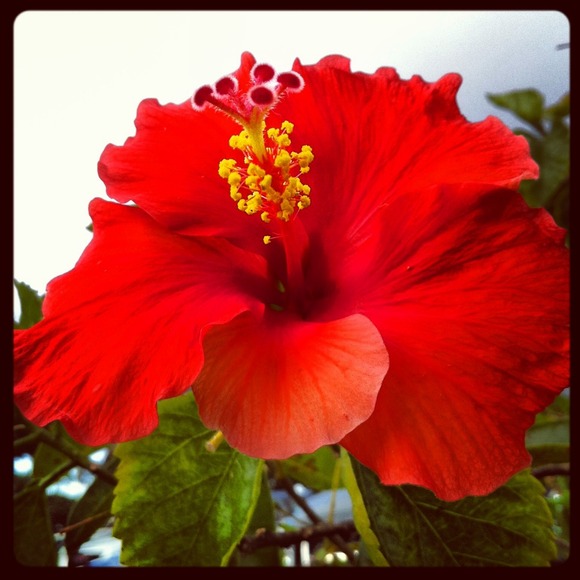 Profile Picture of Brenna James (@bjames1) on Poshmark