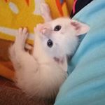 Profile Picture of Felice and Parker (@parkr_felice) on Instagram