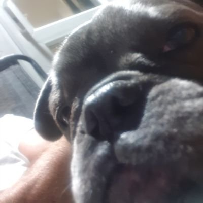 Profile Picture of Paddy (@MrPatrickONeill) on Twitter