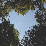 Profile Picture of Phuc Vo (@phucvo9) on Flickr