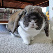 Profile Picture of Aidan Reed (@aidanreed4255) on Youtube