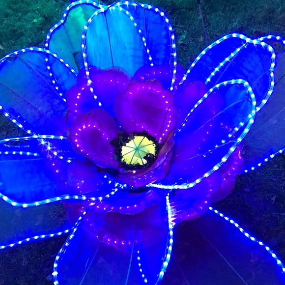 Profile Picture of Michele Fonseca (@michelefon819) on Poshmark