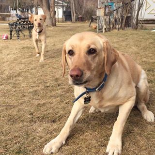 Profile Picture of James Romine (@james.romine.378) on Facebook