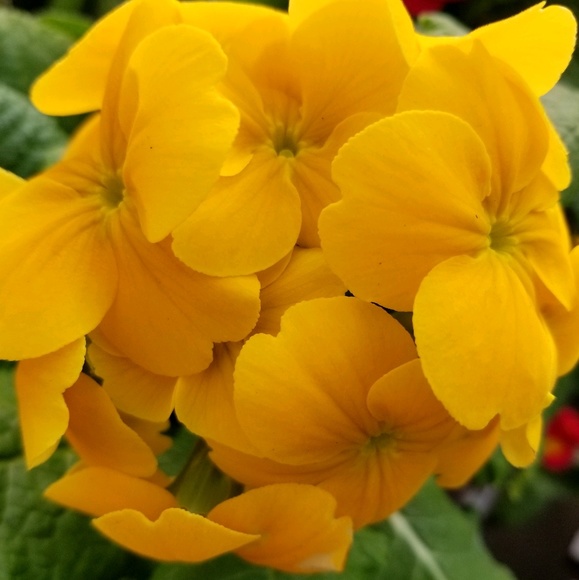 Michelle Vetrano - Poshmark Profile Picture of Michelle Vetrano (@michellev456) on Poshmark