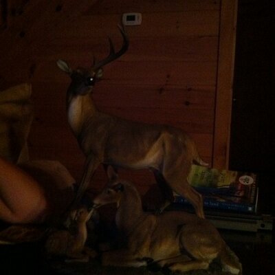 Profile Picture of Nicholas Dimare (@xxnikkixxdimare) on Twitter