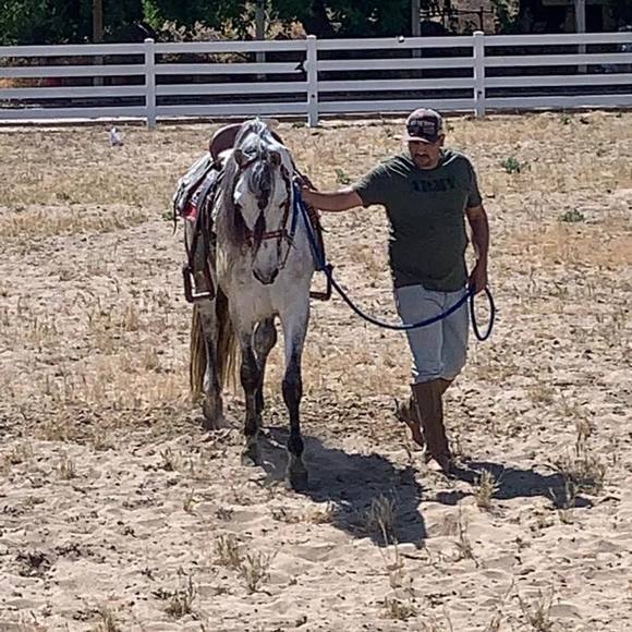 Profile Picture of Carlos Aguilera (@abuelisimo) on Poshmark