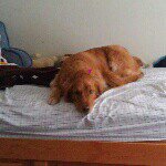 matthewluther_15 - Instagram Profile Picture of matthewluther_15 (@matthewluther_15) on Instagram