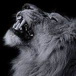 Profile Picture of Abd EL Hak Sidisalh (@abdelhaksidisalh) on Instagram