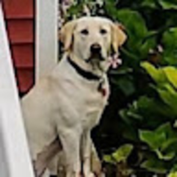 Profile Picture of Angela Bouterse (@angelabouterse) on Poshmark