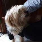 Profile Picture of Michele Guidone (@michele.guidone.16) on Facebook