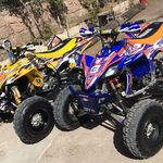 Profile Picture of Jose Luis Piscitello (@joseluispiscitello) on Instagram