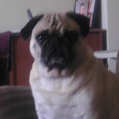Profile Picture of Steve Messner (@smessner65) on Twitter