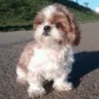 Profile Picture of Christine H. Evans (@christine-h-evans) on Quora