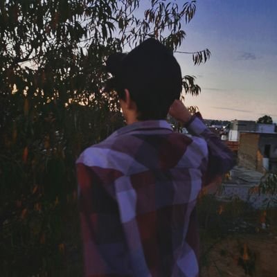 Profile Picture of Alejandro Lechuga. (@Alejand49453440) on Twitter
