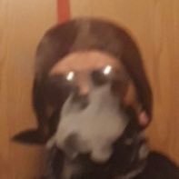 Profile Picture of James Schenk (@UndeadGamer0295) on Twitter