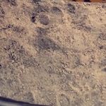 Profile Picture of Matthew Carino (@matthewcarin_) on Instagram