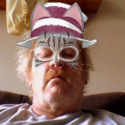 Profile Picture of Mark Baran (@birdman60050) on Twitter