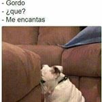 Profile Picture of ruben bahena (@rubenbahenasaavedra) on Instagram