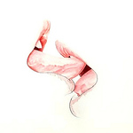 Profile Picture of Alaa Hassan (@alaahassan3) on Flickr