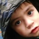 Profile Picture of Michael DeLuca (@michael.deluca) on Instagram