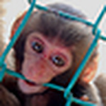 Profile Picture of Daniel Jurin (@danielthepainter) on Flickr