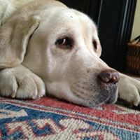 Profile Picture of Peter Waddell (@peter-waddell-4) on Quora