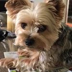 Profile Picture of Lorie Duncan (@tnriverrat) on Instagram