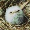 Profile Picture of isaac.cote1214 (@@isaac.cote1214) on Tiktok
