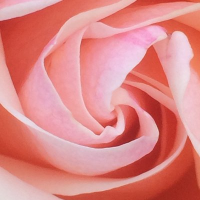 Profile Picture of Debbie Myers-Devine (@debmdevine) on Twitter