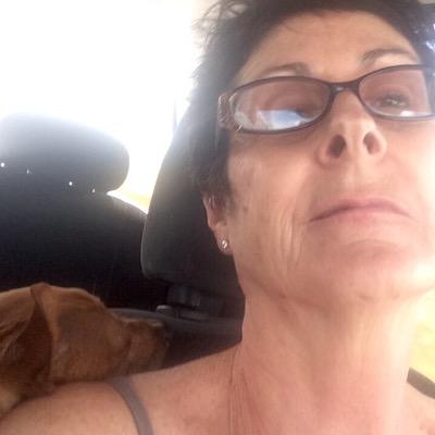 Profile Picture of Karyn Rodenbeek (@Silent_paradox) on Twitter