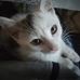 Profile Picture of Matthew Campi (@matthew.campi.355) on Facebook